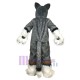 Dessin animé Chien Husky gris Mascotte Costume Animal