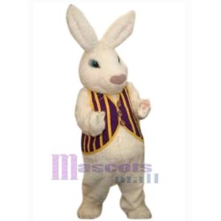 Joli lapin de Pâques Mascotte Costume Animal
