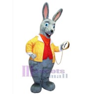 Rabbit in Yellow Coat Mascot Costume Animal
