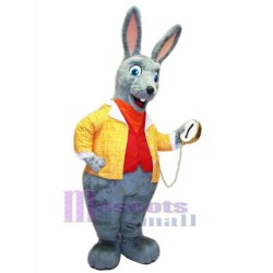 Rabbit in Yellow Coat Mascot Costume Animal