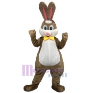 Venta al por mayor Conejo marrón Disfraz de mascota Animal