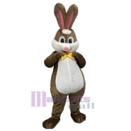 Venta al por mayor Conejo marrón Disfraz de mascota Animal