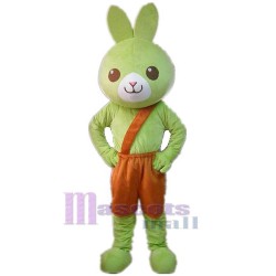 Green Rabbit Mascot Costume Animal