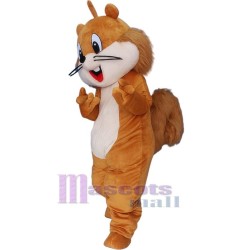 Beau Chipmunk Mascotte Costume Animal