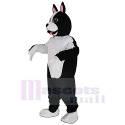 Black and White Terri B. Terrier Dog Mascot Costume Animal
