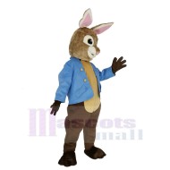 Peter Rabbit marrón y gris Disfraz de mascota