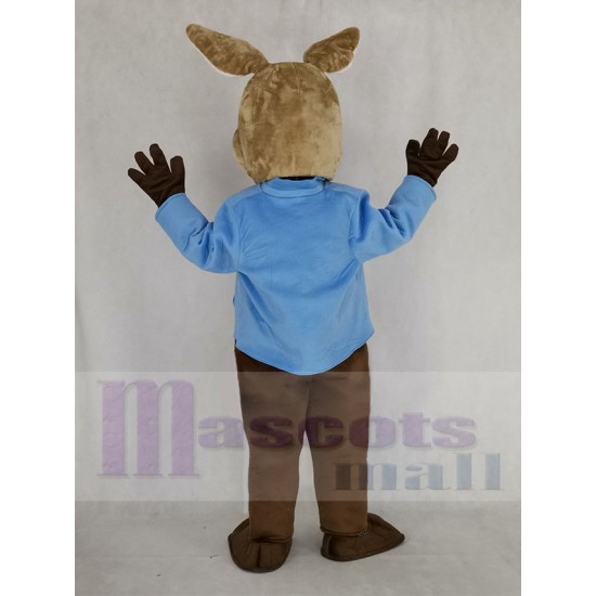 Brauner und grauer Peter Rabbit Maskottchen-Kostüm