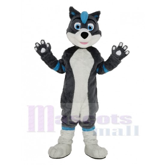 Lustiger blauer und grauer Husky-Hund mit blauen Augen Maskottchen-Kostüm