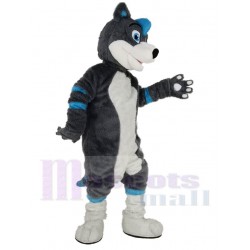Lustiger blauer und grauer Husky-Hund mit blauen Augen Maskottchen-Kostüm