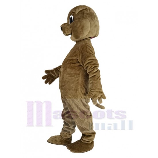 Marmotte brune Mascotte Costume Animal