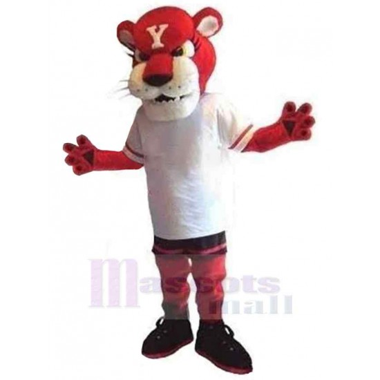 Tigre d'équipe féroce Mascotte Costume Animal