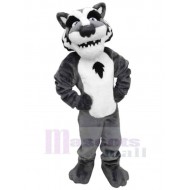 Loup gris et blanc universitaire Costume de mascotte Animal