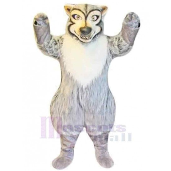 Netter starker grauer Wolf Maskottchen Kostüm Tier mit weißem Bauch