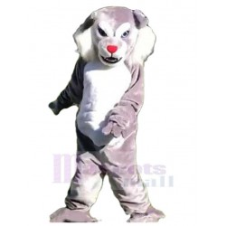 Grauer und weißer Wolf Maskottchen Kostüm Tier mit roter Nase