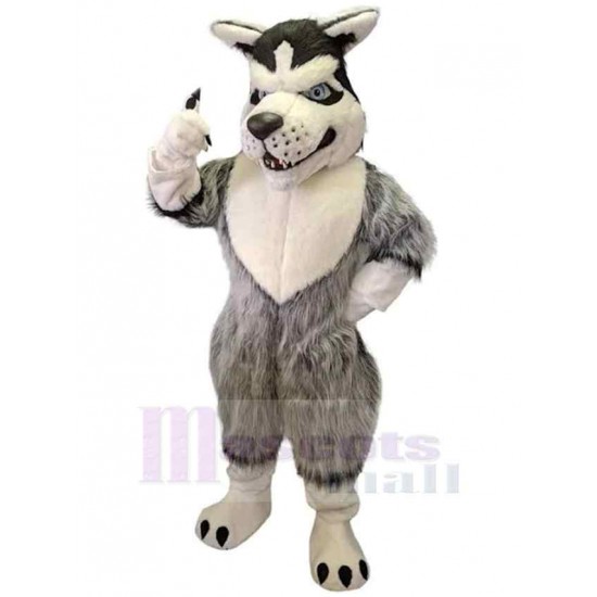 Loup gris fort de haute qualité Costume de mascotte Animal