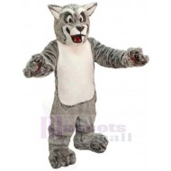 Incroyable Collège Loup gris Costume de mascotte Animal