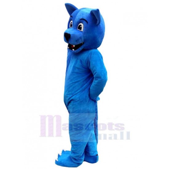 Netter lächelnder blauer Wolf Maskottchen Kostüm Tier
