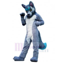 Lobo gris y blanco Disfraz de mascota animal con cola azul
