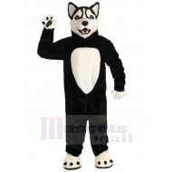 Fröhlicher schwarzer Wolf Maskottchen Kostüm Tier mit Weißer Bauch