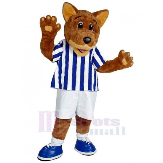 Universidad Lobo marrón Disfraz de mascota animal en ropa azul y blanca
