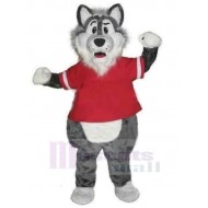 Schöner grauer Wolf Maskottchen Kostüm Tier in roten Kleidern