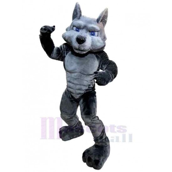 Puissance musculaire Loup Gris Adulte Costume de mascotte Animal