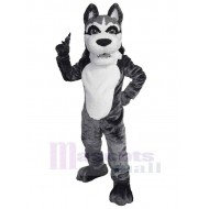 Universität Grauer und Weißer Wolf Maskottchen Kostüm Tier Erwachsene