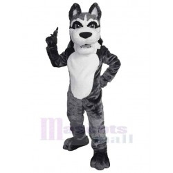 University Gray and White Wolf Mascot Costume Animal Adult