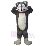 Niedlicher Cartoon grauer Wolf Maskottchen Kostüm Tier