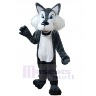 Schöner grauer Wolf Erwachsener Maskottchen Kostüm Tier