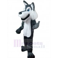 Schöner grauer Wolf Erwachsener Maskottchen Kostüm Tier