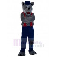 Loup gris professionnel Costume de mascotte Animal
