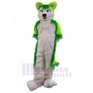 Grüner Wolf Husky-Hund Maskottchen Kostüm Tier Erwachsene