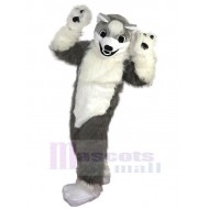 Schöner weißer und grauer Wolf Maskottchen Kostüm Tier