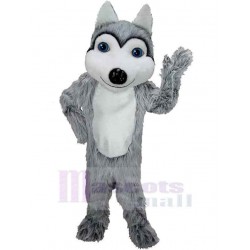 Lächelnder Wolf Maskottchen Kostüm Tier mit blauen Augen