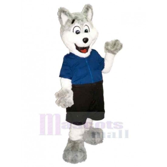 Süßer weißer und grauer Wolf Maskottchen Kostüm Tier im blauen T-Shirt