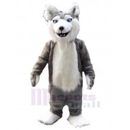 Hohe Qualität Grauer und weißer Wolf Maskottchen Kostüm Tier