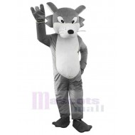 Entzückender grauer Wolf Maskottchen Kostüm Erwachsene