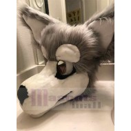 Fursuit de lobo gris Disfraz de mascota animal Solo cabeza