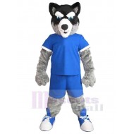 Langer Wollwolf Maskottchen Kostüm Tier in Blaue Sportbekleidung