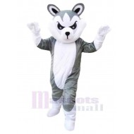 Loup gris de beau dessin animé Costume de mascotte Animal