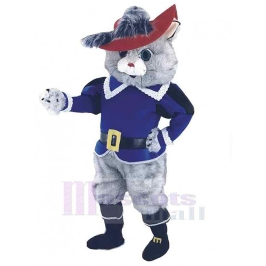 Chat gris cavalier Longue Fourrure Costume de mascotte Animal