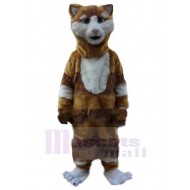 Chat brun et blanc confus Costume de mascotte Animal