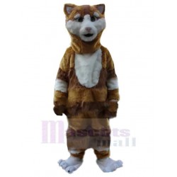 Confused Brown and White Cat Mascot Costume Animal