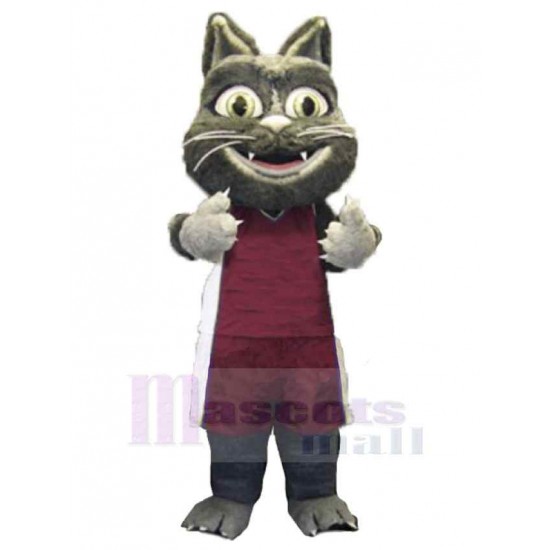 Lindo gato peludo Disfraz de mascota animal en traje deportivo