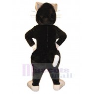 Chat noir drôle Costume de mascotte Animal