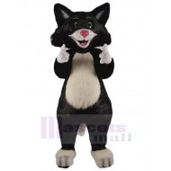 Feliz gato negro Disfraz de mascota animal