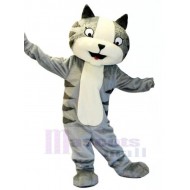 Chat gris drôle Costume de mascotte Animal avec ventre blanc