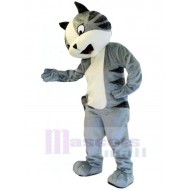 Lustige graue Katze Maskottchen Kostüm Tier mit weißem Bauch