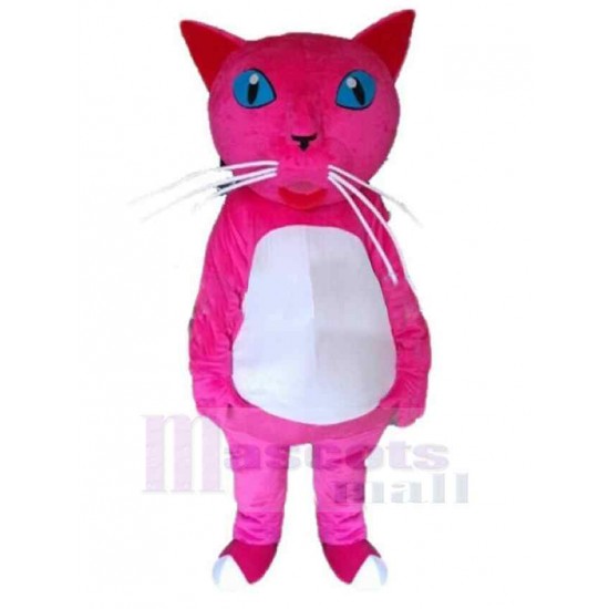 Gato rojo rosa Disfraz de mascota animal con ojos azules
